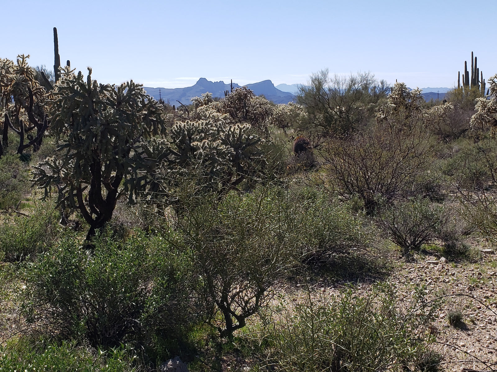 Travels to Tucson - The Gem Shows