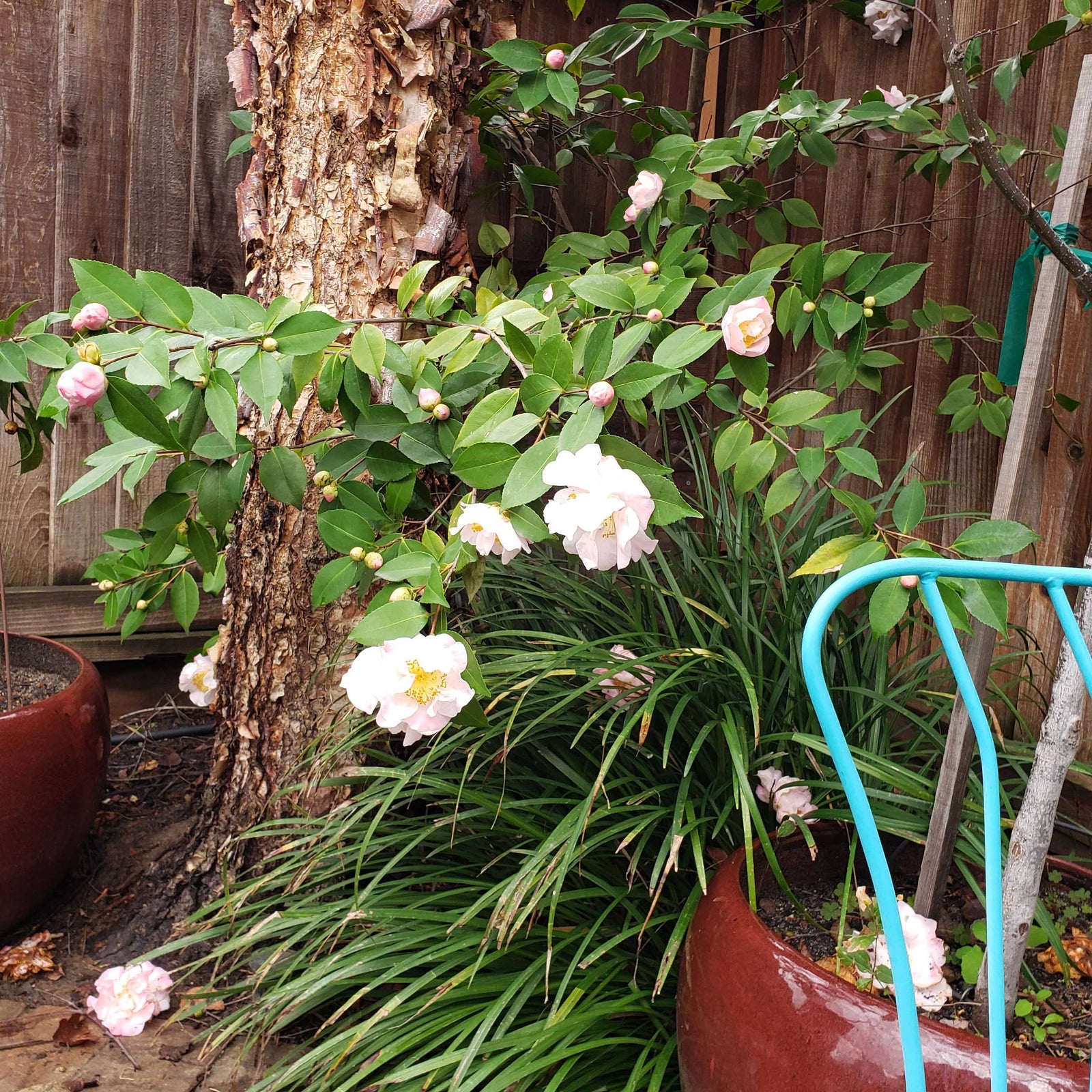 World of Spring 2019!